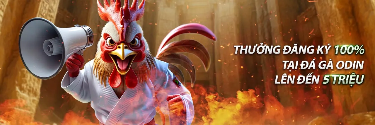 Giao diện xem đá gà trực tiếp C4 và cá cược online